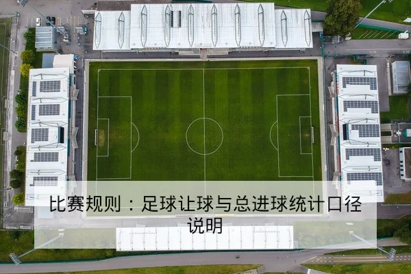 比赛规则：足球让球与总进球统计口径说明